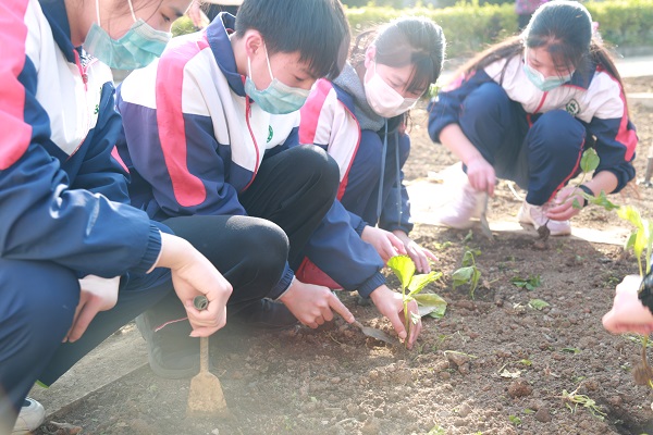 4.种植课程.JPG
