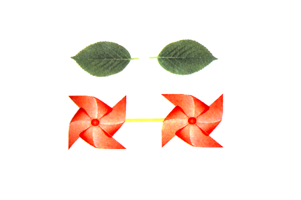 图片0.png